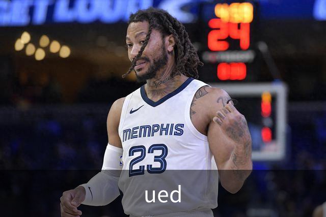 ued公司介绍